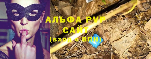 бошки Кодинск
